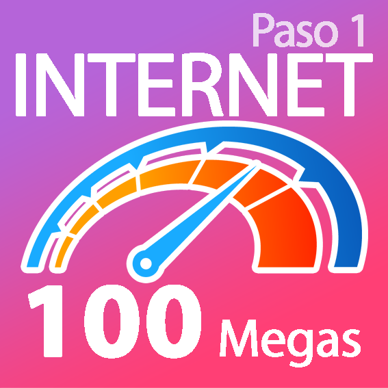 Internet 100Mb Único